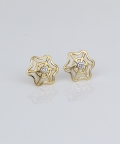 Web Design Diamond Earrings