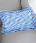 Pillow Cover with Filler Blue Checks