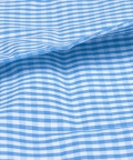 Pillow Cover with Filler Blue Checks