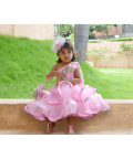 Tiered Luxury Sarree Lehenga Choli