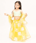 Yellow Organza Lehenga Set With Green Top