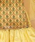 Yellow Mughal Jaal Sharara Set