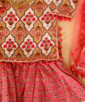 Beige-Pink Mughal Jaal Sharara Set