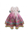 Pink Ombre Hand Embroidered Gown