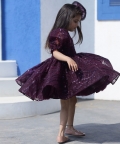 Wine Sequence Puffy Party Dress
