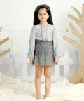 Beautiful And Stylish Gray Skirt
