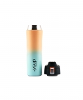 Green Color Water Bottle Lexus - 500 Ml
