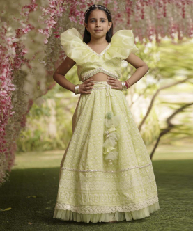 Green Embroidery Lehenga Choli