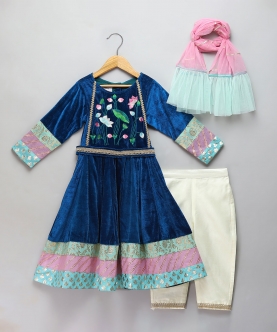 Blue Velvet Embroidered Anarkali Pants With Net Dupatta