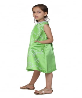 Parrot Green Dress