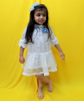 Organza And Off White Blue Handblock Printed Polka Dress