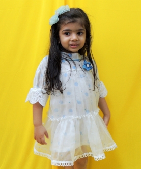Organza And Off White Blue Handblock Printed Polka Dress